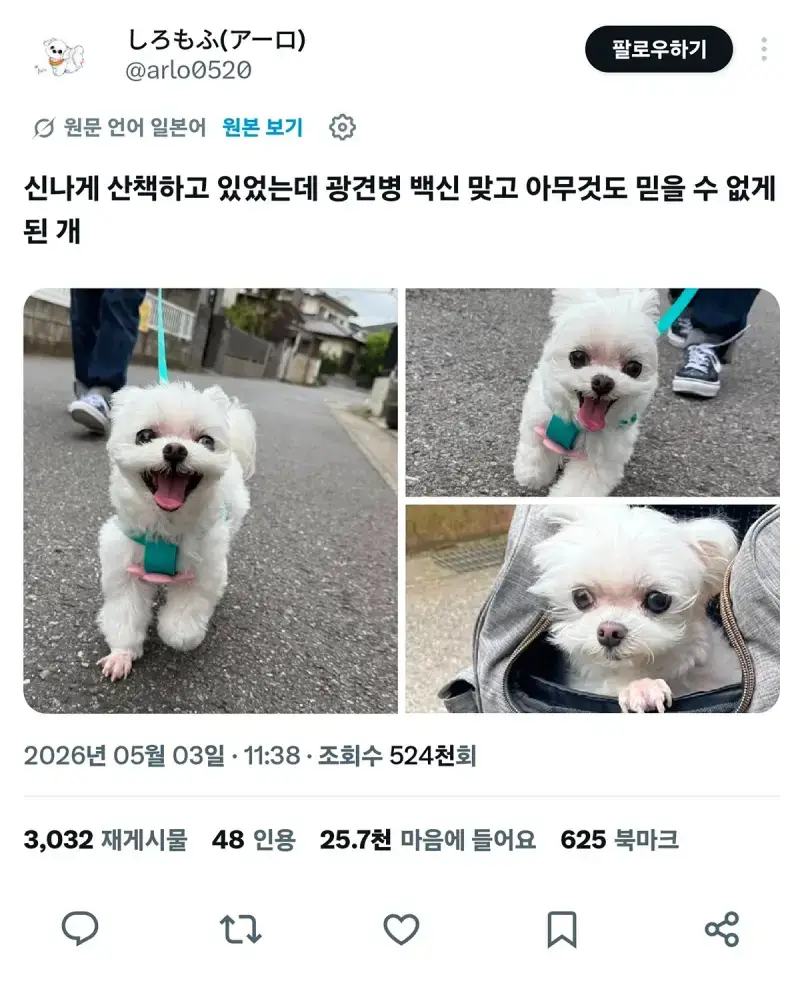 세상에 믿을 사람 하나 없네...의 내용을 보여주는 이미지