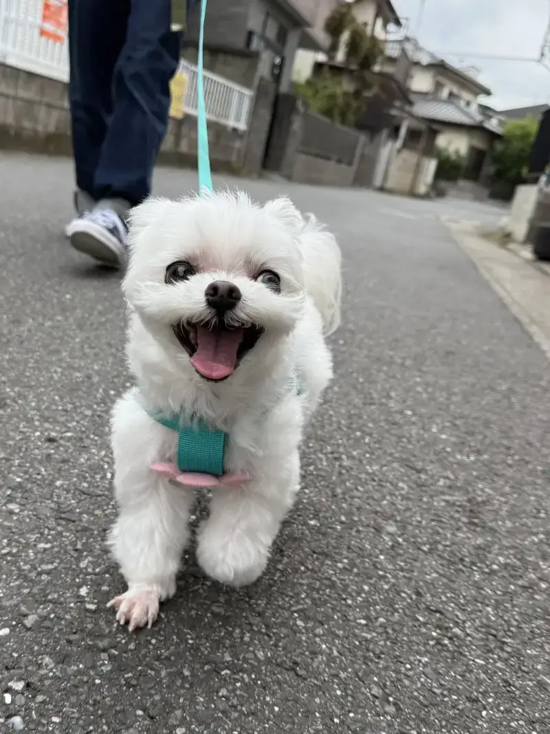 세상에 믿을 사람 하나 없네...의 내용을 보여주는 이미지 관련 이미지 2