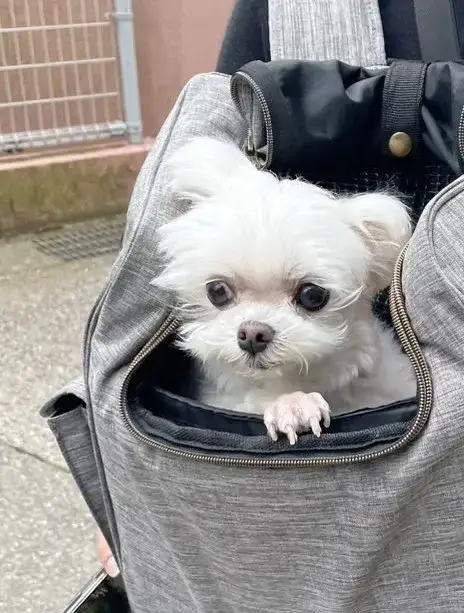 세상에 믿을 사람 하나 없네...의 내용을 보여주는 이미지 관련 이미지 4