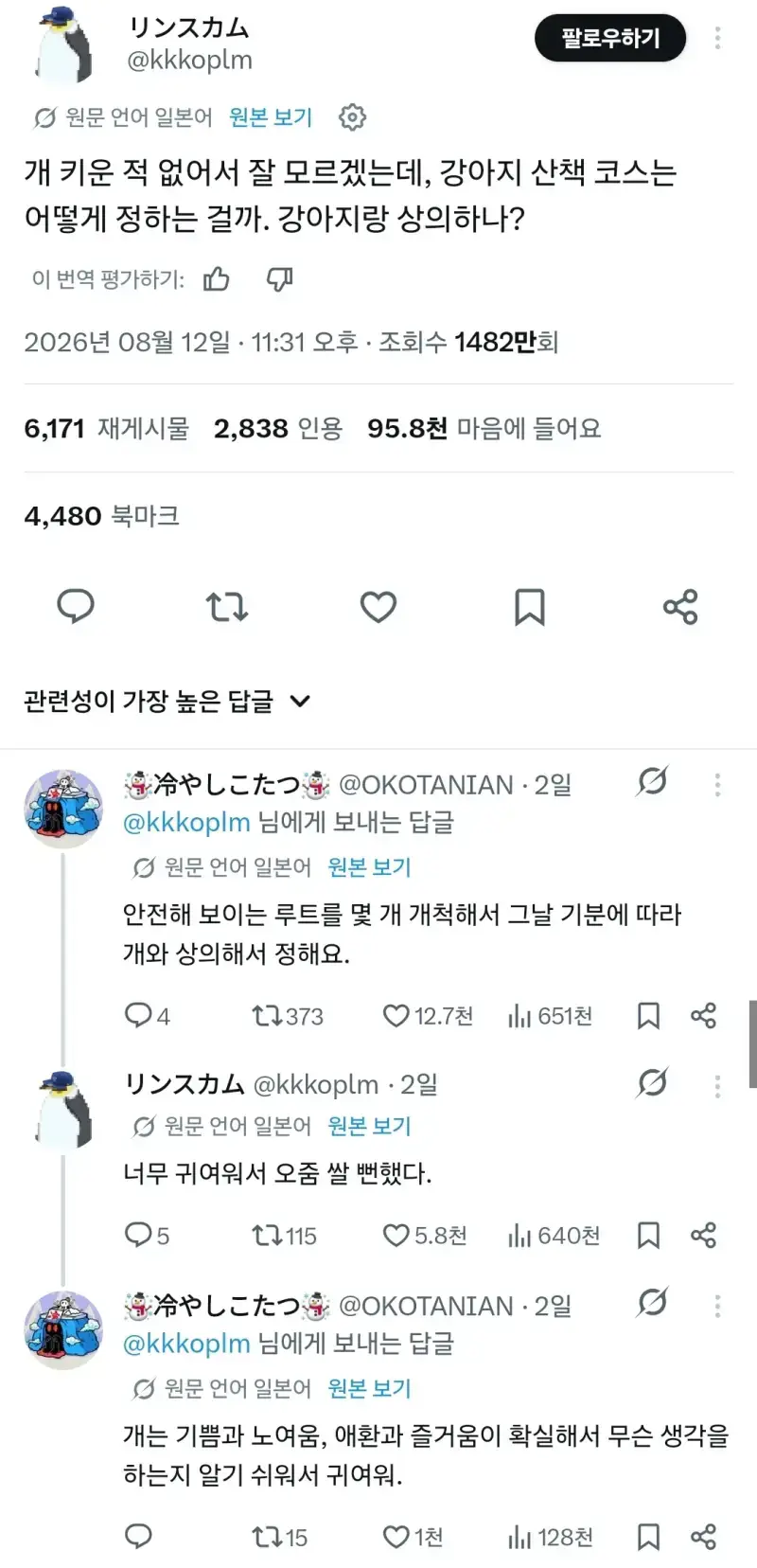 강아지 산책 코스는 어떻게 정하나요? 강아지랑 상의하나?의 내용을 보여주는 이미지