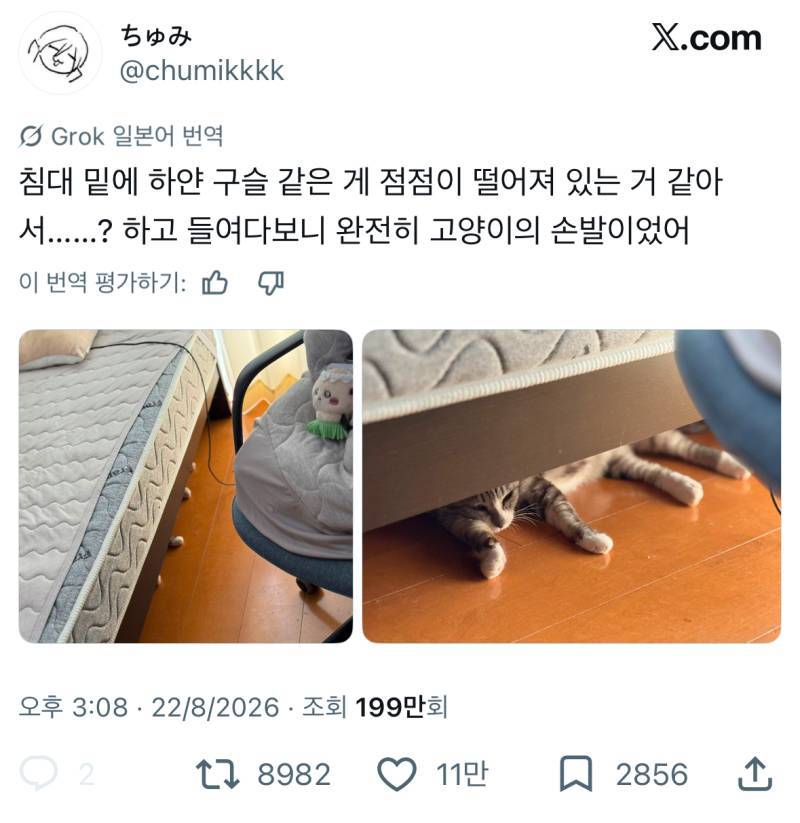 침대 밑에 하얀 구슬 같은 게 떨어져 있어서 뭐지 싶었는데의 내용을 보여주는 이미지