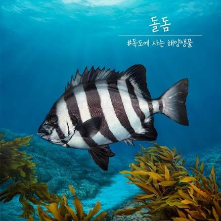 자연산 횟감 Best 논쟁의 내용을 보여주는 이미지 관련 이미지 2