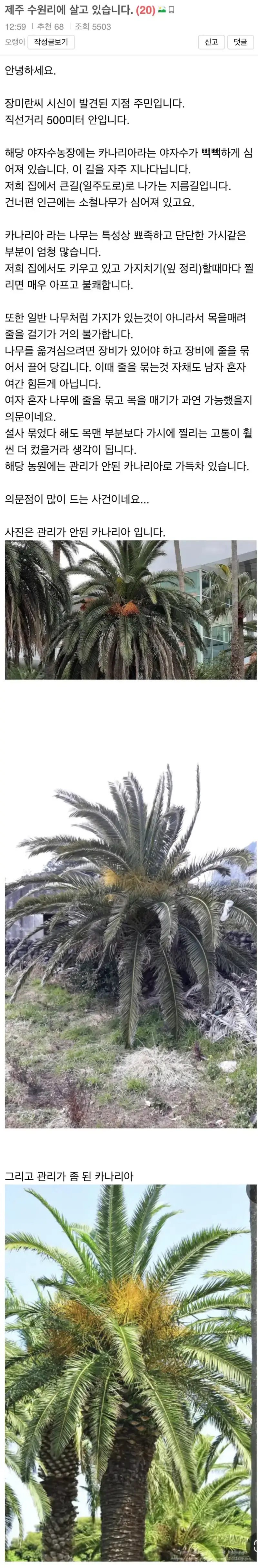 제주 장미란씨 시신 발견된 지점에 사는 주민의 글의 내용을 보여주는 이미지