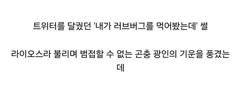 Screenshot_20260825_114438_Firefox.jpg