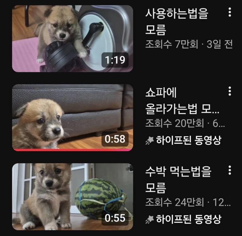 대체 너 아는게 뭐야의 내용을 보여주는 이미지