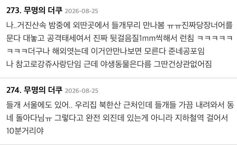 시골에서 런닝할때 필수 물품의 내용을 보여주는 이미지 관련 이미지 7