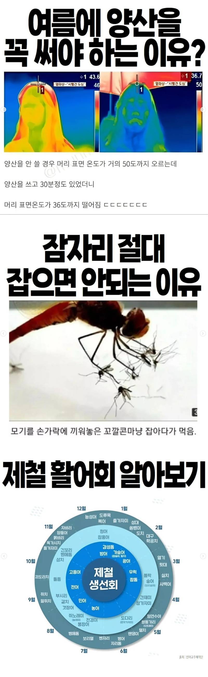 (해초제거본) 똥마려울 때 보면 좋은 글의 내용을 보여주는 이미지 관련 이미지 2