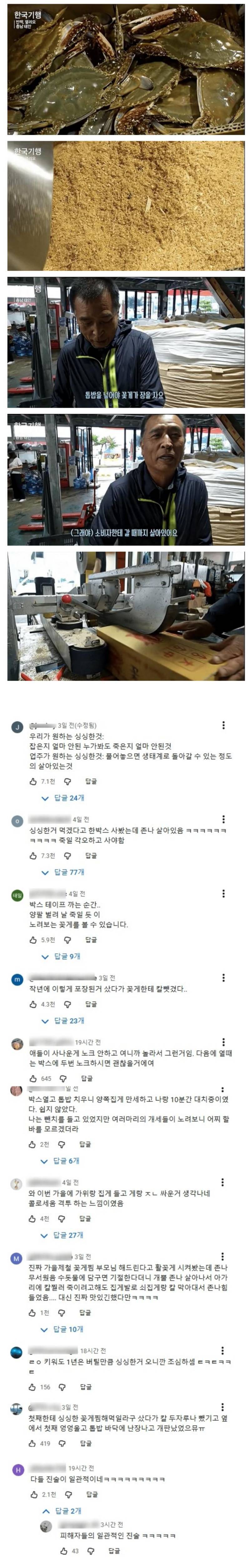 꽃게 위에 톱밥을 가득 얹는 이유의 내용을 보여주는 이미지