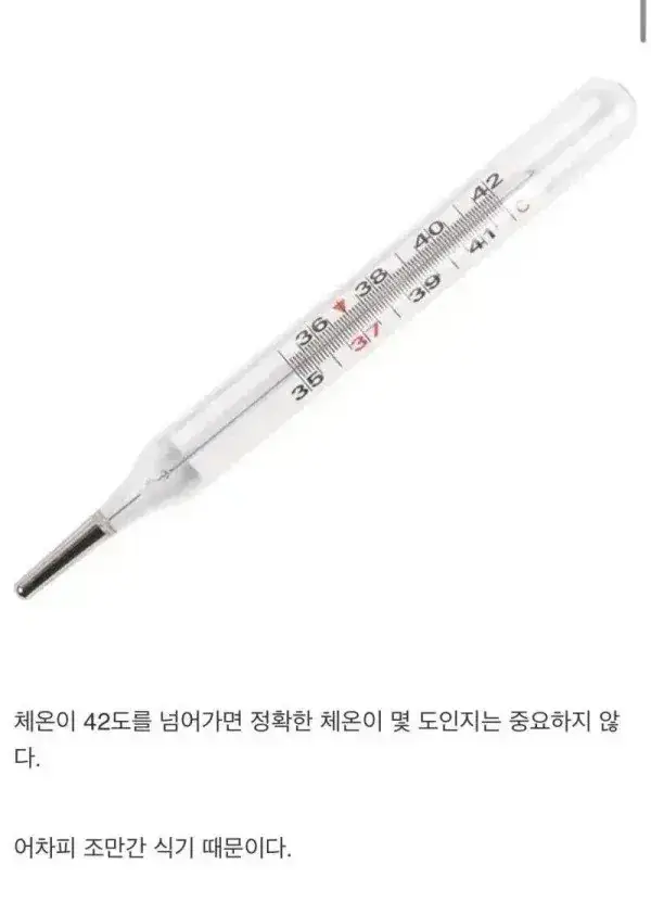 체온계는 왜 42도 밖에 없음?의 내용을 보여주는 이미지
