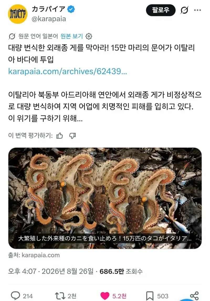 맨날 싸우는 한중일이 동맹 맺는 경우의 내용을 보여주는 이미지