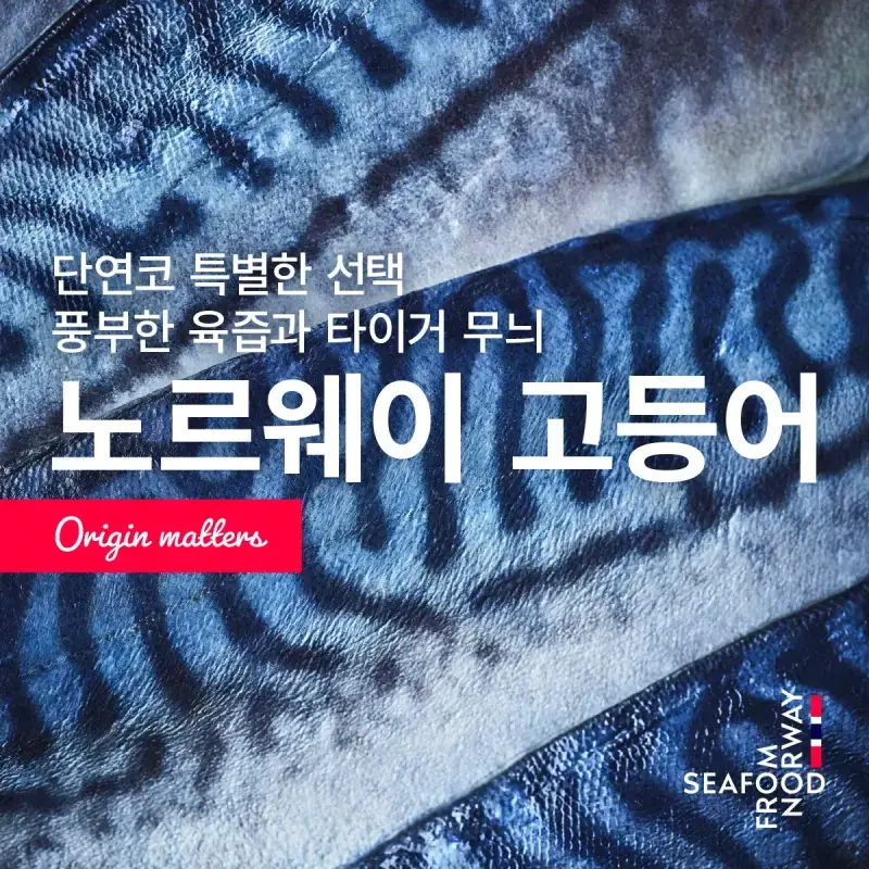 이거만큼은 국내산보다 외국산이 더 맛있음의 내용을 보여주는 이미지 관련 이미지 2