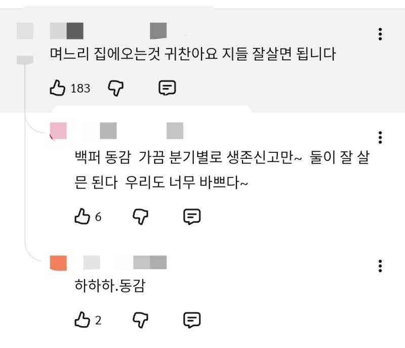 며느리, 사위가 집에 오는 걸 원하지 않는 어머니들의 내용을 보여주는 이미지