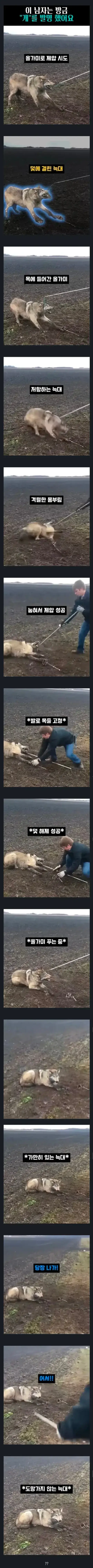 이 남자는 방금 "개"를 발명했어요.의 내용을 보여주는 이미지