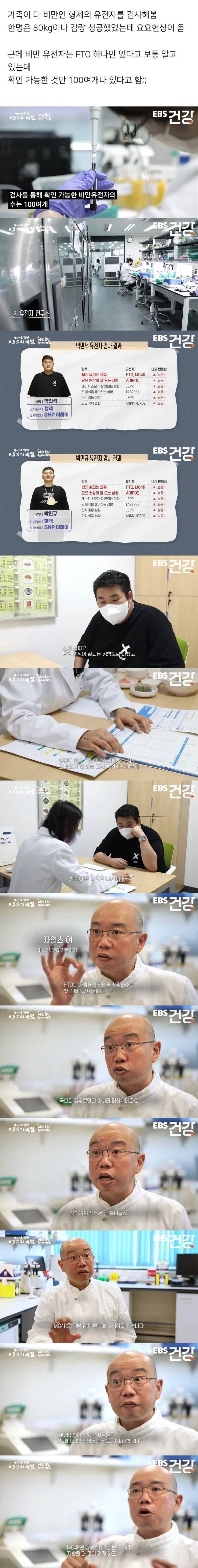 비만인 사람 유전자 검사 결과 신기한거의 내용을 보여주는 이미지