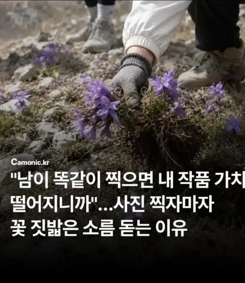 관광지에서 자주 보인다는 싸이코패스의 내용을 보여주는 이미지