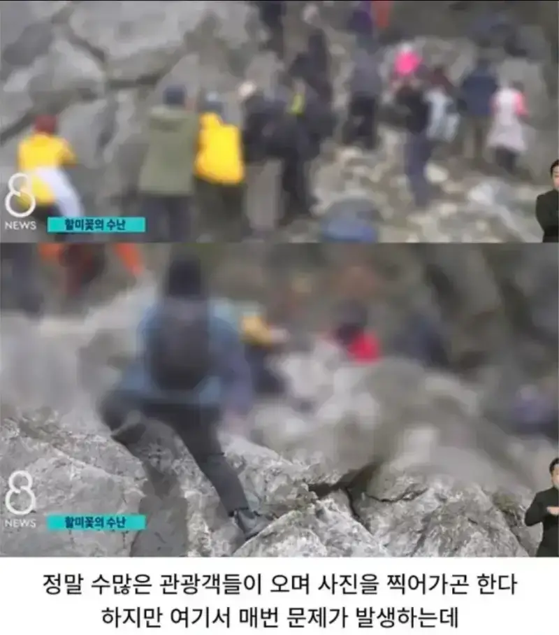 관광지에서 자주 보인다는 싸이코패스의 내용을 보여주는 이미지 관련 이미지 3