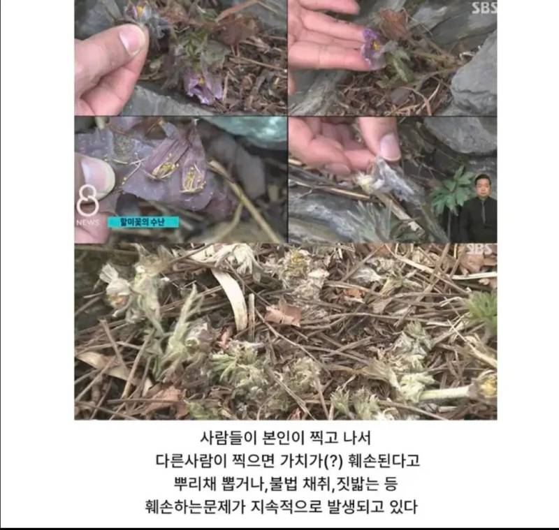관광지에서 자주 보인다는 싸이코패스의 내용을 보여주는 이미지 관련 이미지 4