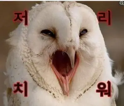 2Mx3vvvdXWw6Oaq0AkIUI6.png