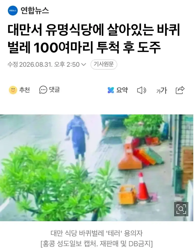 유명식당에 살아있는 바퀴벌레 100여마리 투척 후 도주의 내용을 보여주는 이미지