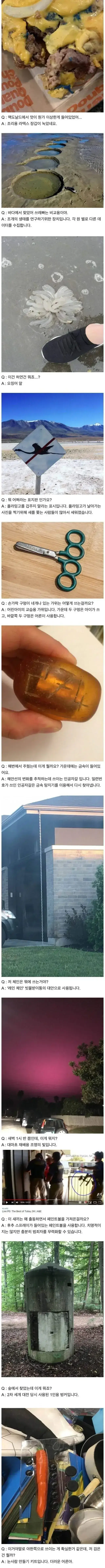 서양의 신기한 지식인 문답의 내용을 보여주는 이미지 관련 이미지 2