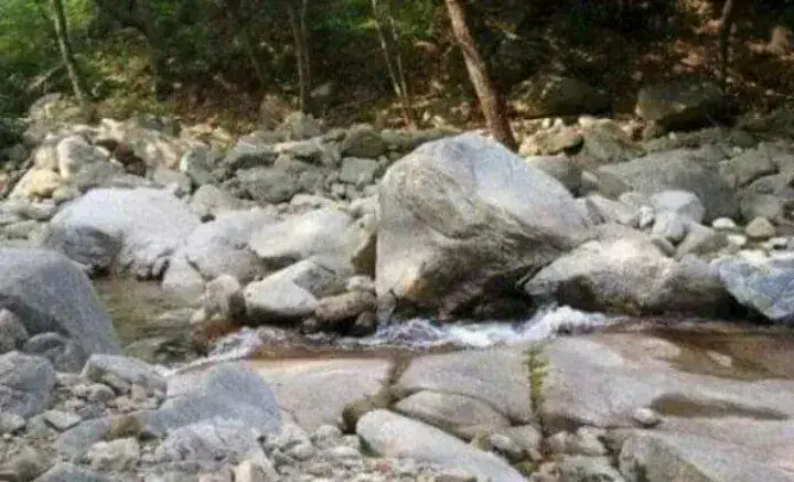 한때 유명했었던 캠핑 레전드 사건의 내용을 보여주는 이미지
