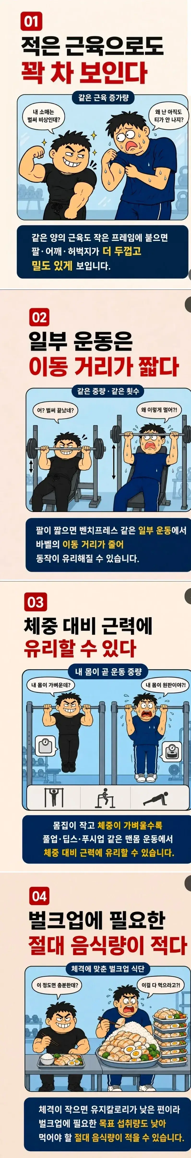 키가 작으면 근육 키우는데 유리한 이유의 내용을 보여주는 이미지