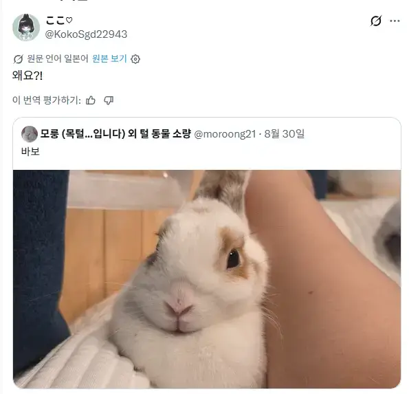 4hLuak5YowGcgAYW2i2A6u.png