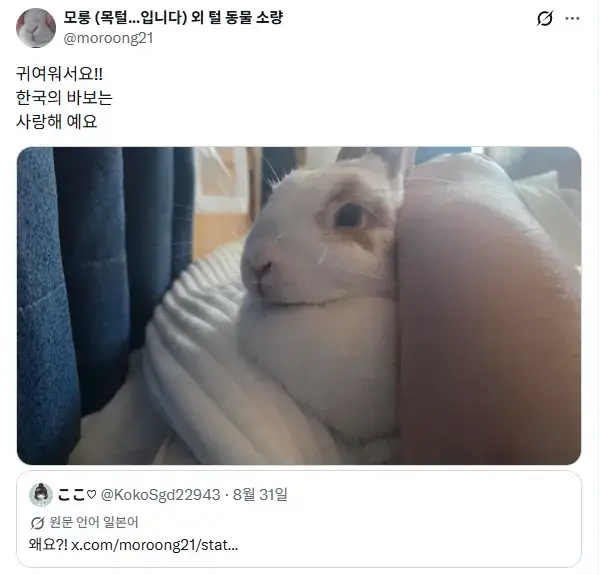 1sBwsIgZkAyuwSYgkiEk8i.png