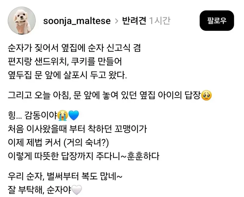 반려견이 자주 짖어서 이웃들에게 편지와 선물 돌렸더니의 내용을 보여주는 이미지 관련 이미지 9