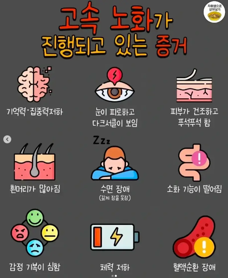 고속 노화가 진행되고 있는 증거의 내용을 보여주는 이미지