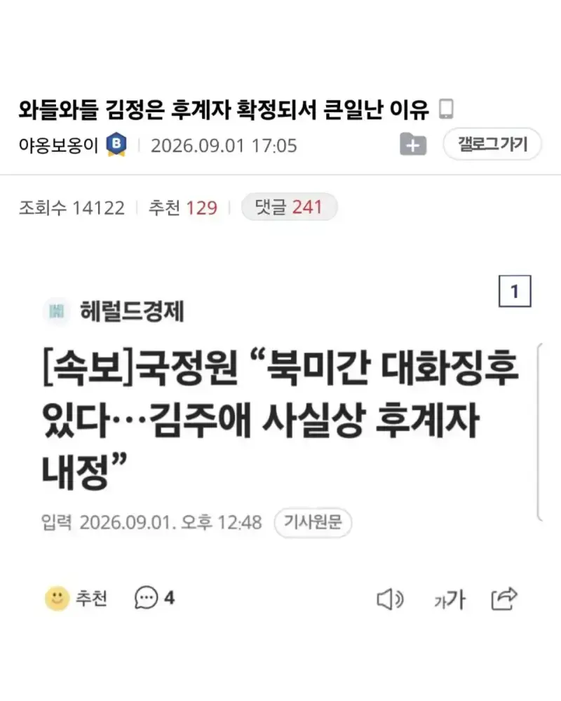 생각보다 심각한 일일수 있다는 북한 김주애 후계자 내정의 내용을 보여주는 이미지