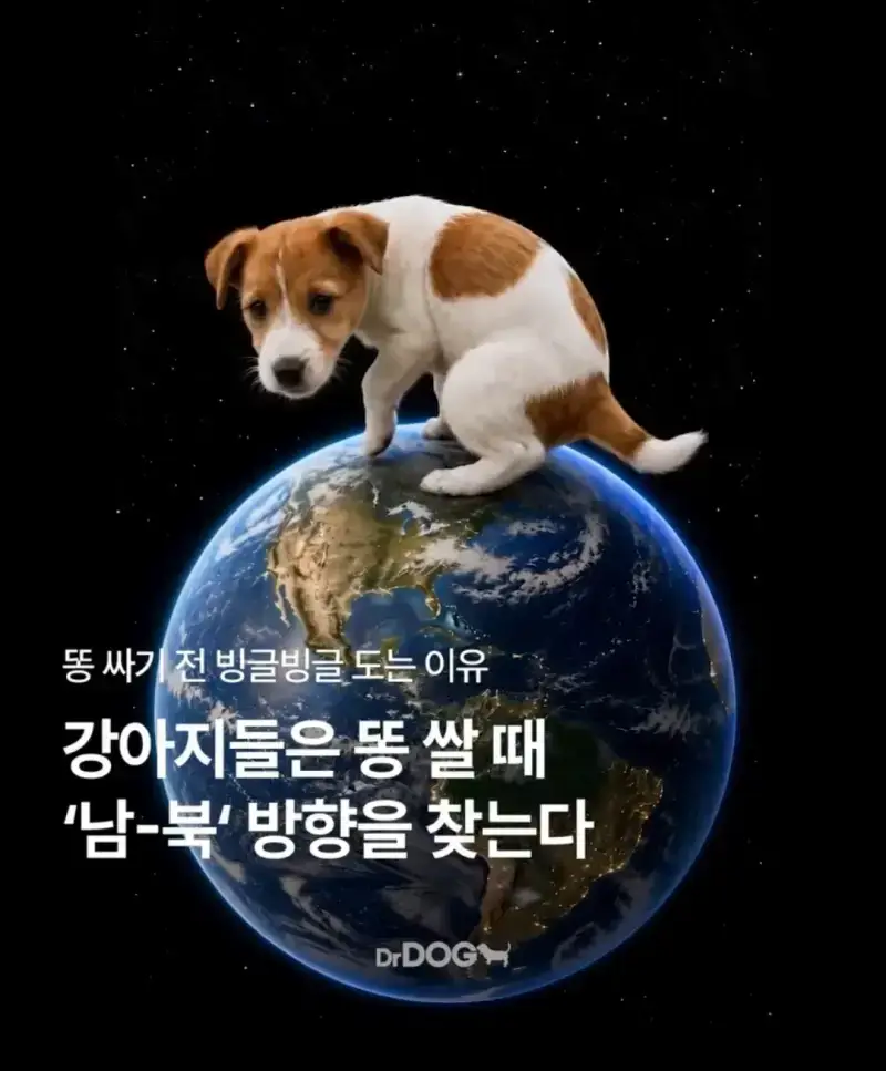 1GB192hUpWYM00KCoqY0Ek.webp