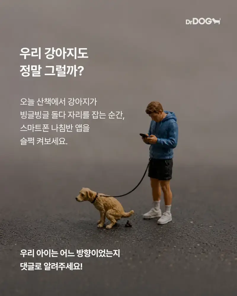 7Gd1JaDM1GqcCW8gOQuOQE.webp