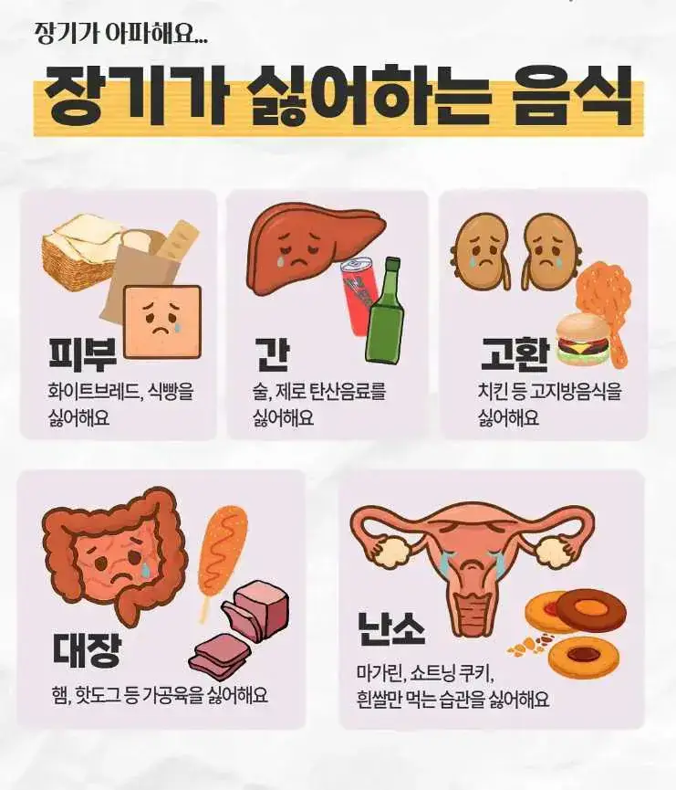 우리 장기가 싫어하는 음식의 내용을 보여주는 이미지 관련 이미지 2