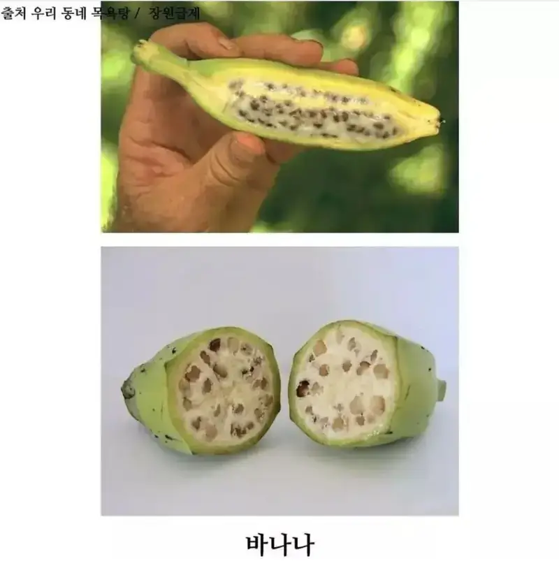 1788332452733913.webp