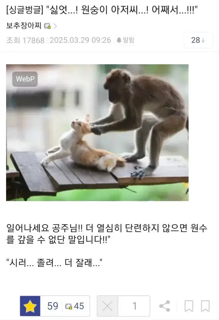 J9nsc.webp