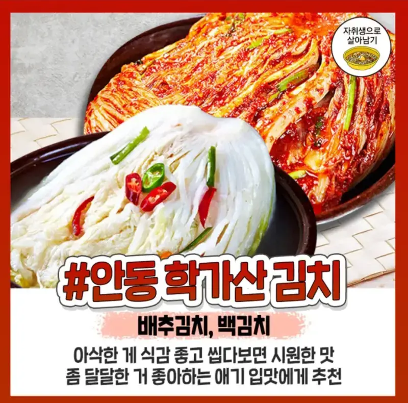 사먹는 존맛 김치 추천의 내용을 보여주는 이미지 관련 이미지 2