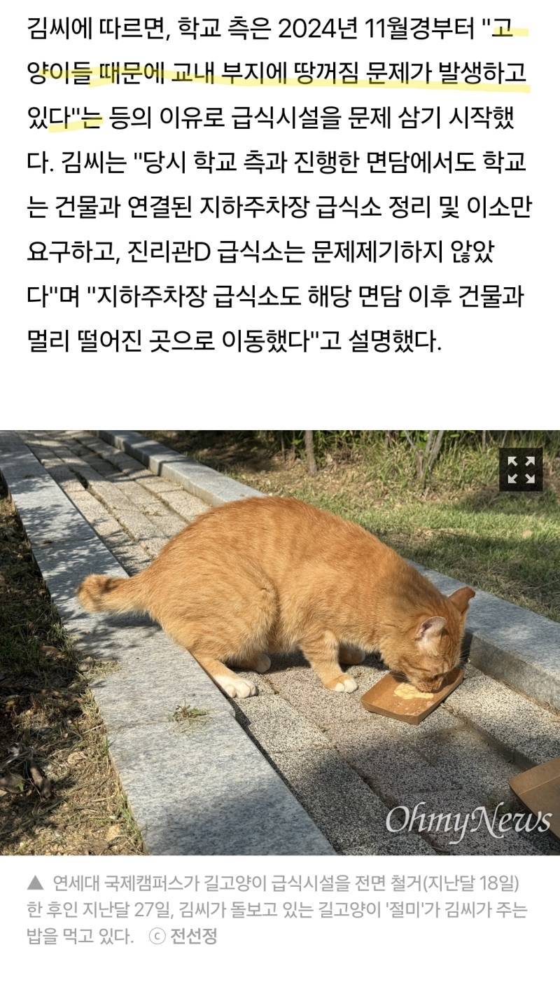?? 때문에 땅꺼짐이 발생하고 있다는 연세대 송도캠의 내용을 보여주는 이미지