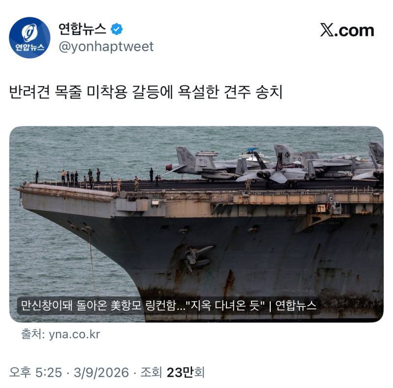 개가 뭐 이렇게 생겼냐의 내용을 보여주는 이미지