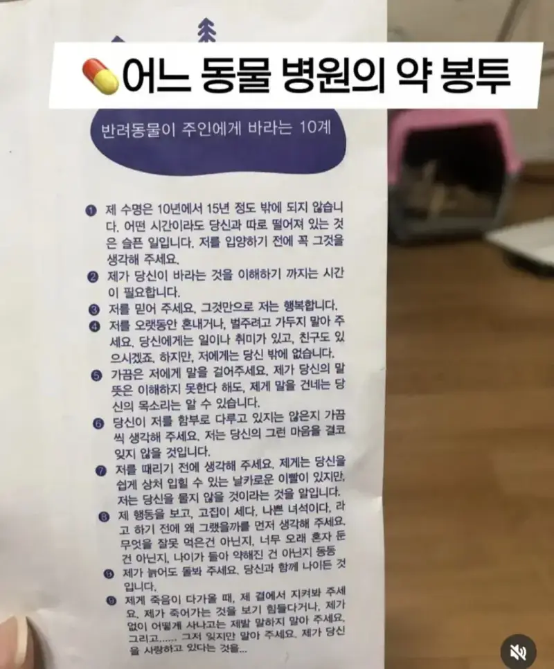눈물 찔끔하게 만든다는 어느 동물 병원의 약봉투의 내용을 보여주는 이미지