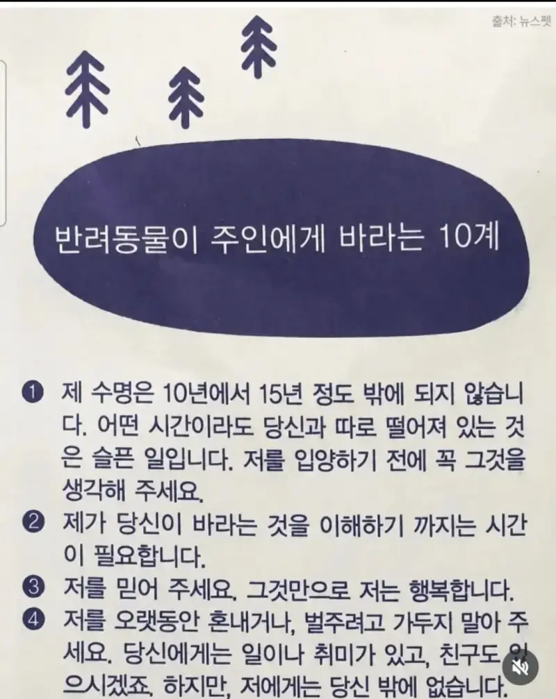 눈물 찔끔하게 만든다는 어느 동물 병원의 약봉투의 내용을 보여주는 이미지 관련 이미지 2