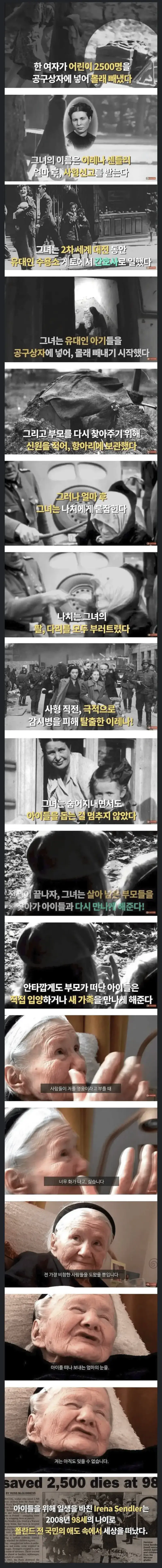 폴란드 간호사가 아기 2500명을 납치함의 내용을 보여주는 이미지