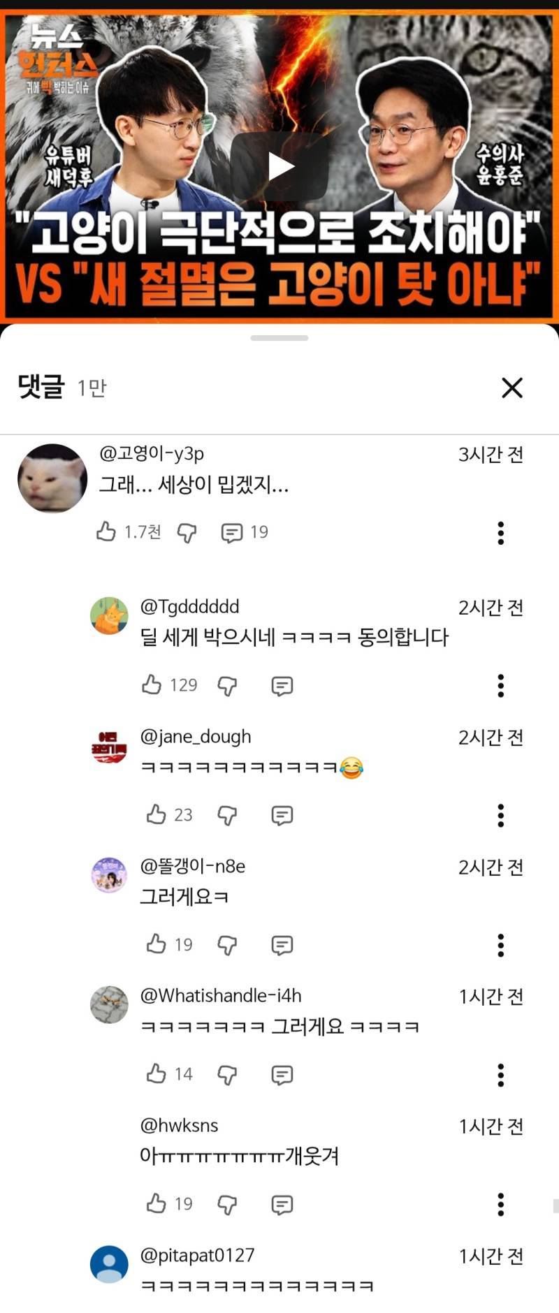 새덕후가 저 주제 대표성을 띄는 게 좋음의 내용을 보여주는 이미지 관련 이미지 2