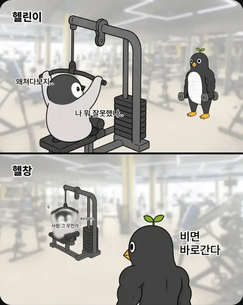 헬스장에서 헬창이 헬린이 쳐다보는 이유의 내용을 보여주는 이미지