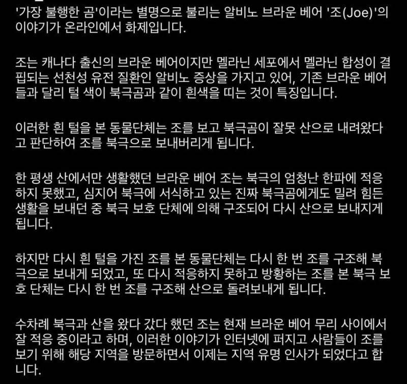 혹한기 뛰는 곰의 내용을 보여주는 이미지 관련 이미지 2