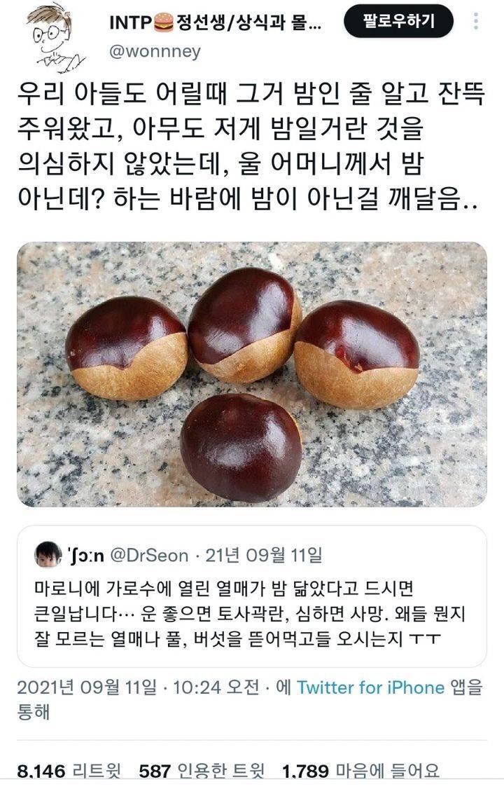밤처럼 생겼지만 먹으면 큰일나는 열매의 내용을 보여주는 이미지