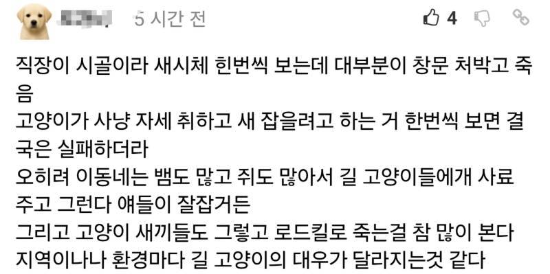 새덕ㅎ 토론 펨ㅋ 반응의 내용을 보여주는 이미지 관련 이미지 5