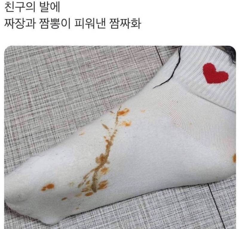 친구가 만든 짬짜화의 내용을 보여주는 이미지