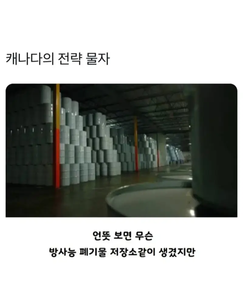 캐나다의 중요한 전략 물자의 내용을 보여주는 이미지