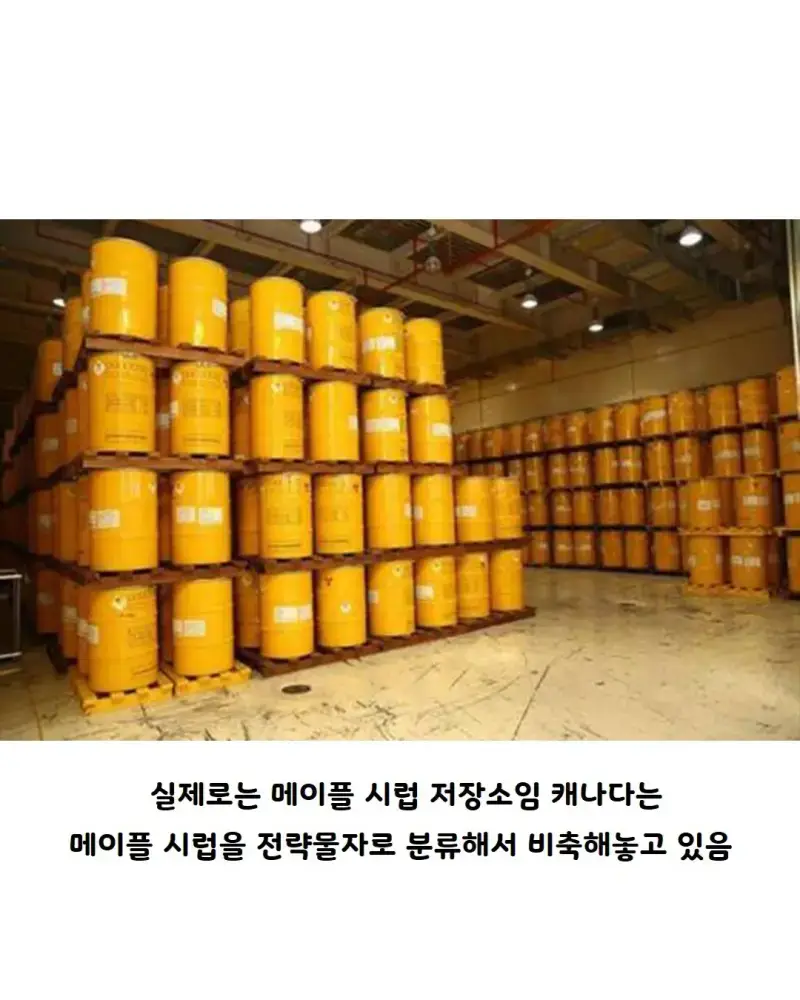 캐나다의 중요한 전략 물자의 내용을 보여주는 이미지 관련 이미지 2